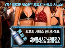 오피스타 | [하이클래스강남정통쩜오-금나라대표]