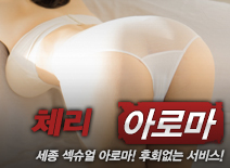 오피스타 | [세종건마-체리아로마]