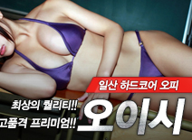 오피스타 | [일산오피-오이시]