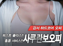 오피스타 | [강서오피-사쿠란보오피]