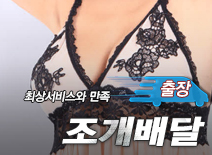 오피스타 | [천안출장-조개배달]